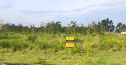 Terreno 366,58m²