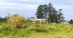 Terreno 366,58m²