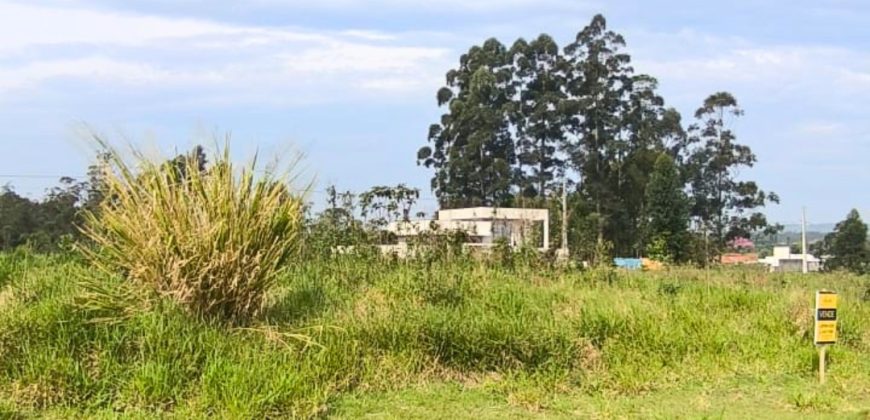 Terreno 366,58m²